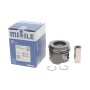 Поршень Renault Clio III/Megane III/Fluence/Twingo II/Nissan Juke/Note 1.5 dCi 08- (76.50mm/+0.50)