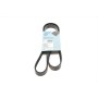 Ремінь генератора VW Golf/VW Bora 2.3 -00/ Hyundai i30/ i40 2.0 CRDi/GDI 07-
