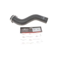 Патрубок інтеркулера Renault Kangoo 1.5dCi 08-