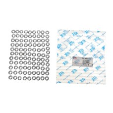 Шайба под форсунку Peugeot Partner/Boxer/Citroen Jumper 1.5D-2.5D 94-07 (5.5x13.8x1.3) (к-кт 100шт)