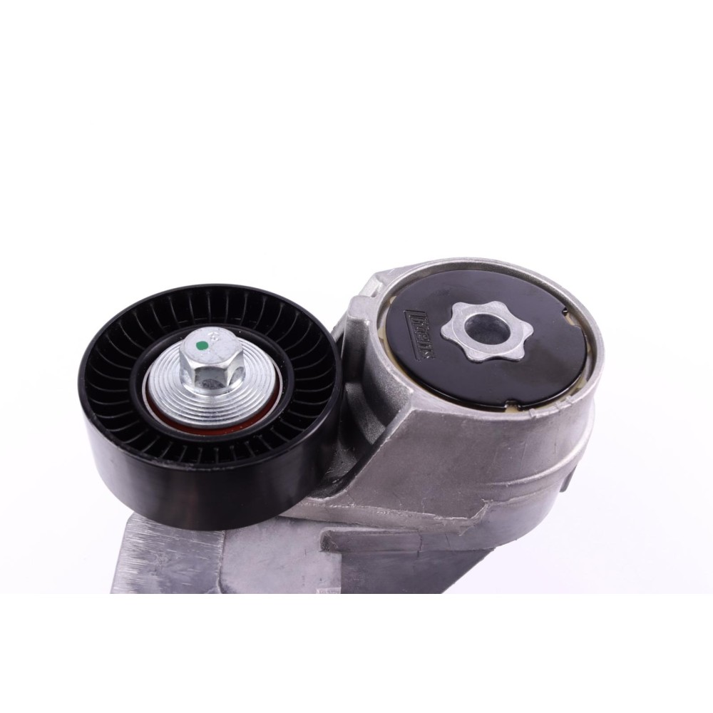 Натяжник ременя генератора Ford Connect 1.8TDCi