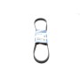 Ремінь генератора Citroen Jumper/Fiat Ducato 2.8HDi/JTD 00- (ALT,WP) (6PK995)