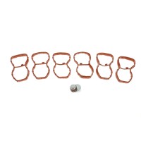 Прокладка колектора впускного BMW 3 (F30/F80)/5 (F10)/7 (F01/F02/F03/F04)/X5 (E70/F15/F85) 10- N57