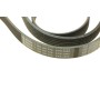 Ремінь генератора Mitsubishi Lancer 1.8 08-/Outlander 2.0-2.4 06- (6PK2565)