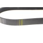 Ремінь генератора BMW 3 (E46)/ X5 (E53)/ 5 (E39) 2.5D-3.0D 98-06/ Land Rover Range Rover 3.0 D 02-12