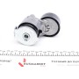 Натяжник ременя генератора Renault Scenic/Megane II/III 1.9dCi/2.0 16V 03-