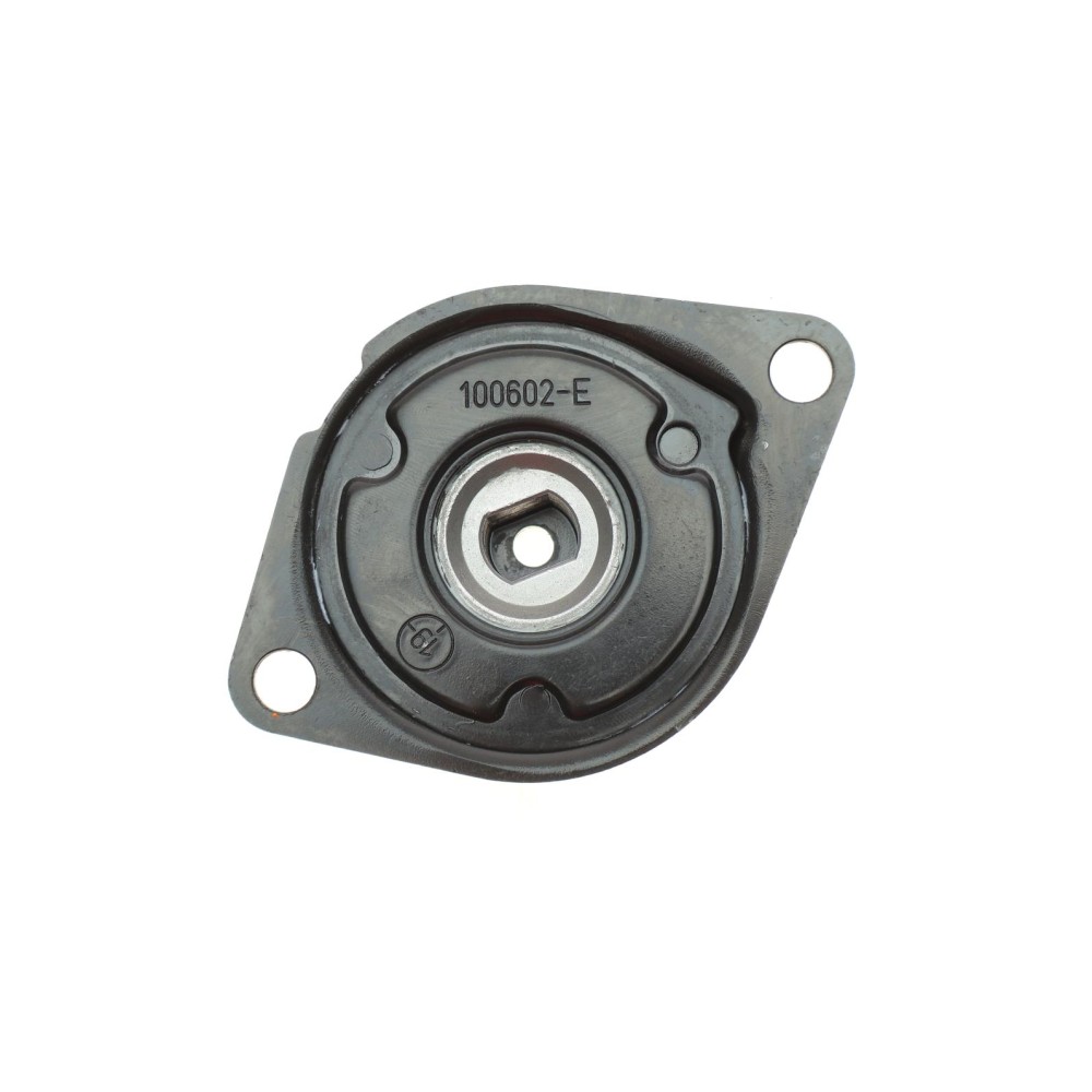 Натяжник ременя генератора VW Caddy II/T4 1.6-2.0 95-