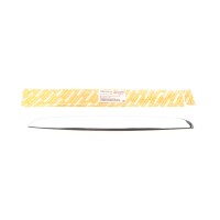 Молдинг капоту BMW 3 (E90) 05-08 (L)