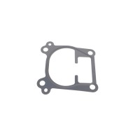 Прокладка корпуса колектора впускного Opel Astra G 2.0/2.2 DTI 99-05