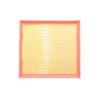 Фільтр повітряний BMW 5 (F07/F10/F11/F18)/6 (F06/F12/F13)/X3-X6 (F25/F26/F15-16/E70-72) 3.0 N55 10-18