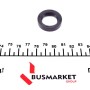 Сальник вала первинного КПП Renault Magnum/Premium 00- (20x30x7)