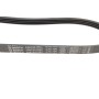 Ремінь генератора Fiat Punto 93-99 (4PK706)