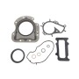 Комплект прокладок (нижній) Citroen C1/C3/C4/Peugeot 108/2008/208/301/308 1.2 VTi 12-