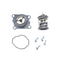 Термостат BMW 1 (E81/E87)/3 (E90/F30/F80)/5 (F10/F07) 1.6-3.0 D 07-19 (87°C) (N47/N57)