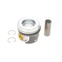 Поршень VW T5/T6 2.0 TDI 09-19 (81.51mm/+0.50)