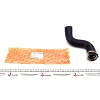 Патрубок інтеркулера (R) Renault Megane III 1.5 dCi 08-