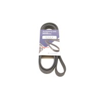 Ремінь генератора Audi A4 1.6-2.0 00-08 (6PK1570)
