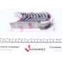 Вкладиші корінні Fiat Ducato 2.3 JTD (+0.25) = 6020242500