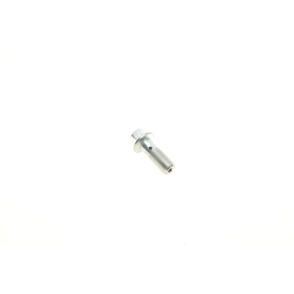 Болт Banjo (банжо) M10x1mm (11x37)