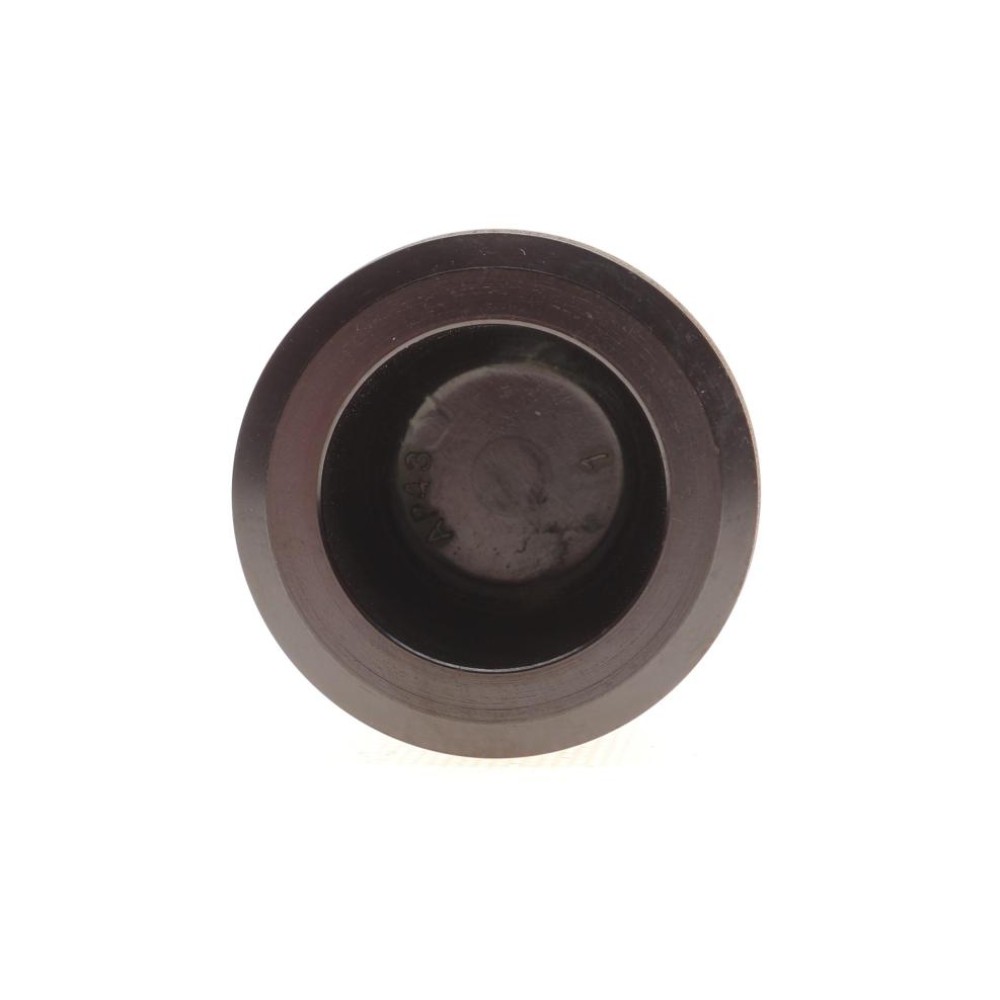Поршень супорта (заднього) Jeep Cherokee 08-/Wrangler III 07-/Dodge Nitro 06-12 (48x49.5mm) (TRW)