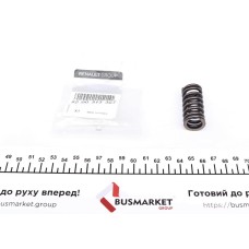 Пружина клапана Renault Kangoo/Logan