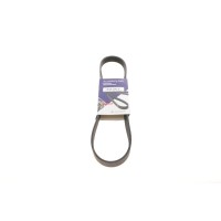 Ремінь генератора Citroen Berlingo/Fiat Ducato 1.8/1.9D /Citroen Jumper 3.0HDI 96- (6PK1160)