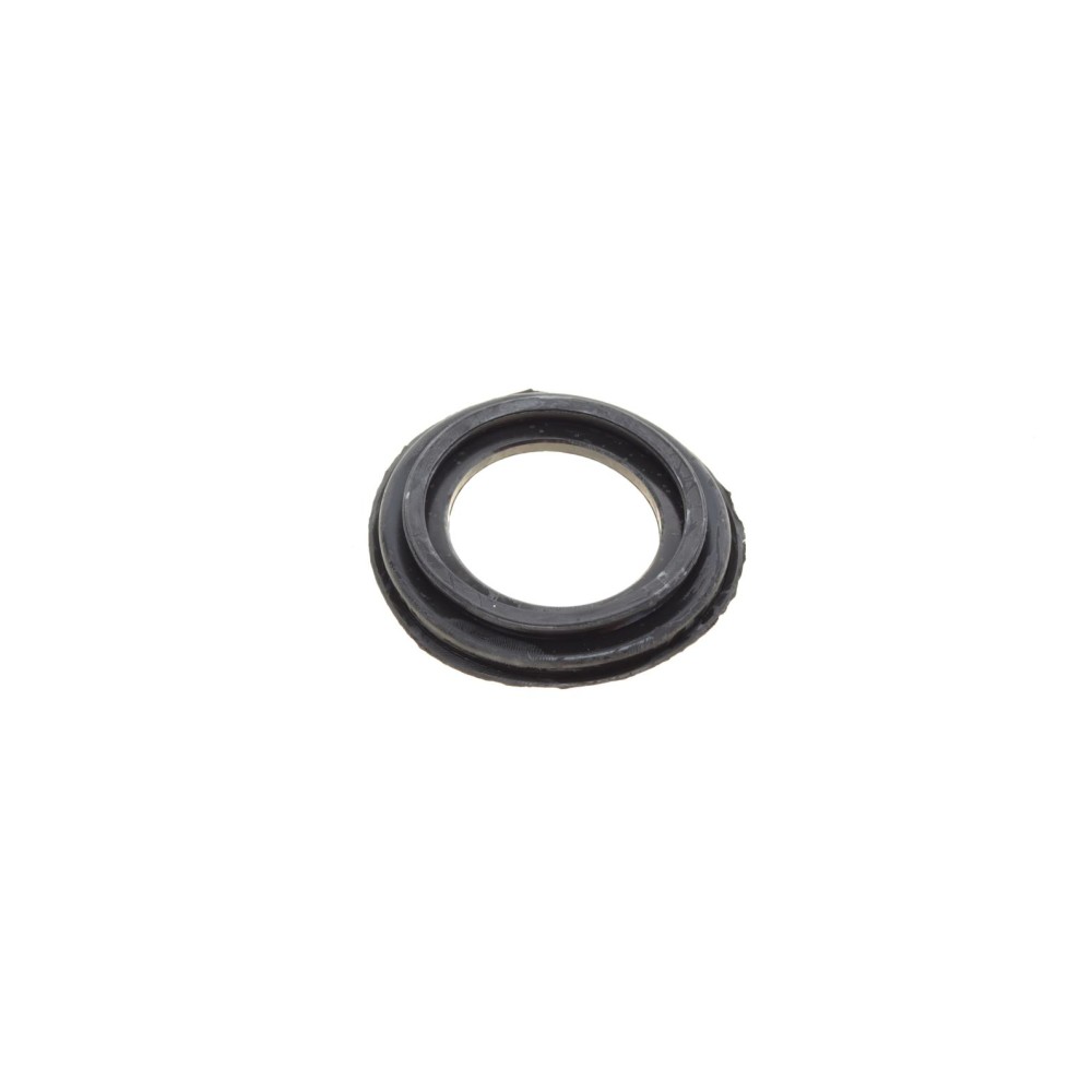 Ремкомплект супорта (заднього) Fiat Ducato/Peugeot Boxer 02- (d=46mm)(Brembo)(+1 поршен/направляюча)