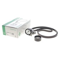 Комплект ременя генератора Renault Megane/Scenic 00-09, (5PK1750)
