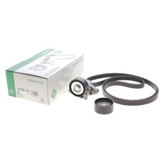 Комплект ременя генератора Renault Megane/Scenic 00-09, (5PK1750)