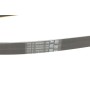 Ремінь генератора Opel Combo/Astra G 1.4-1.8 98-10/Kia Ceed/Rio 1.2/1.4 14-/Hyndai i20/i30 1.4 14-