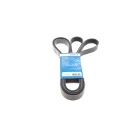Ремінь генератора Ford Transit 2.4 DI-2.4TDCI 00-06 (7PK2875)