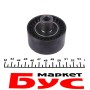 Ролик генератора Fiat Scudo 1.6D Multijet 07- (паразитний) (60х30)