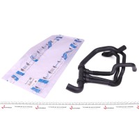 Патрубок радіатора Renault Megane II/Scenic II 1.9dCi (L) (к-кт)
