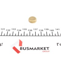 Заглушка блоку циліндрів (d=16mm) Латунь/Brass