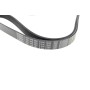Ремінь генератора Opel Combo/Astra G 1.7DTi 01-/VW T4 2.0 90-03/Ford Mondeo 2.5 94-00 (6PK1590)