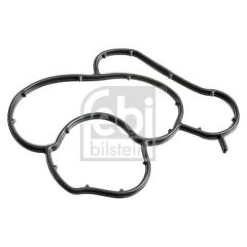 Прокладка корпуса фільтра масляного BMW X3 (E83) 05-11 (N46)
