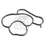 Прокладка корпуса фільтра масляного BMW X3 (E83) 05-11 (N46)