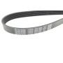 Ремінь генератора BMW X5/Ford Focus 1.4/1.6 16V 98-