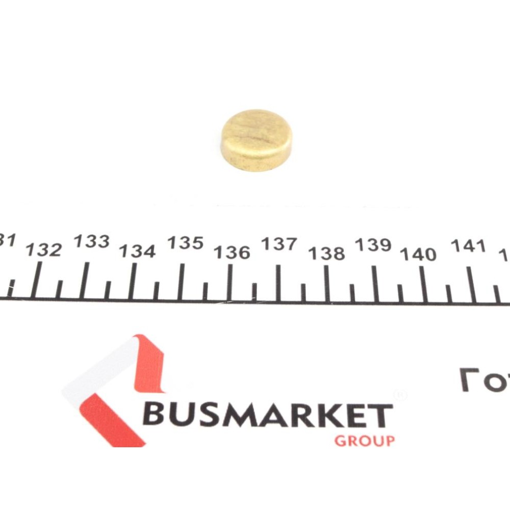 Заглушка блоку циліндрів (d=16,5mm) Латунь/Brass
