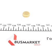 Заглушка блоку циліндрів (d=16,5mm) Латунь/Brass