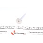 Клапан (випуск) Citroen Berlingo/Peugeot Partner1.4i 96-11 (29.2x7x112.6) (вальцювання)