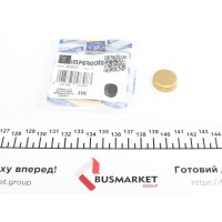 Заглушка блоку циліндрів (d=22,2mm) Латунь/Brass