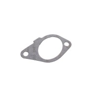 Прокладка колектора впускного Fiat Scudo/Peugeot Expert 1.9D (DW8)
