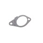 Прокладка колектора впускного Fiat Scudo/Peugeot Expert 1.9D (DW8)