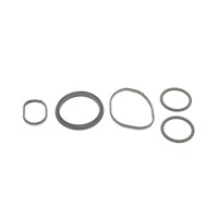 Прокладка термостата Hyundai ix35/Santa Fe/Kia Sorento 2.4 09- (к-кт)