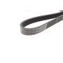 Ремінь генератора Toyota Camry 1.8-2.2 83-02/Rav4 2.0 94-00/Mazda 626 II 1.6/2.0 82-87 (5PK1000)