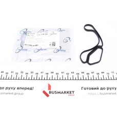 Прокладка радіатора масляного BMW 3 (E90)/5 (E60/F10) 2.3-3.5 -16