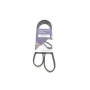 Ремінь генератора Citroen Berlingo/Fiat Ducato 1.8/1.9D /Citroen Jumper 3.0HDI 96- (6PK1160)