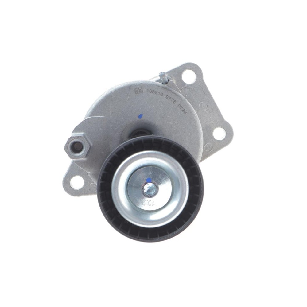 Натяжник ременя генератора Citroen C4/C5/Peugeot Expert 2.0 HDi 09-