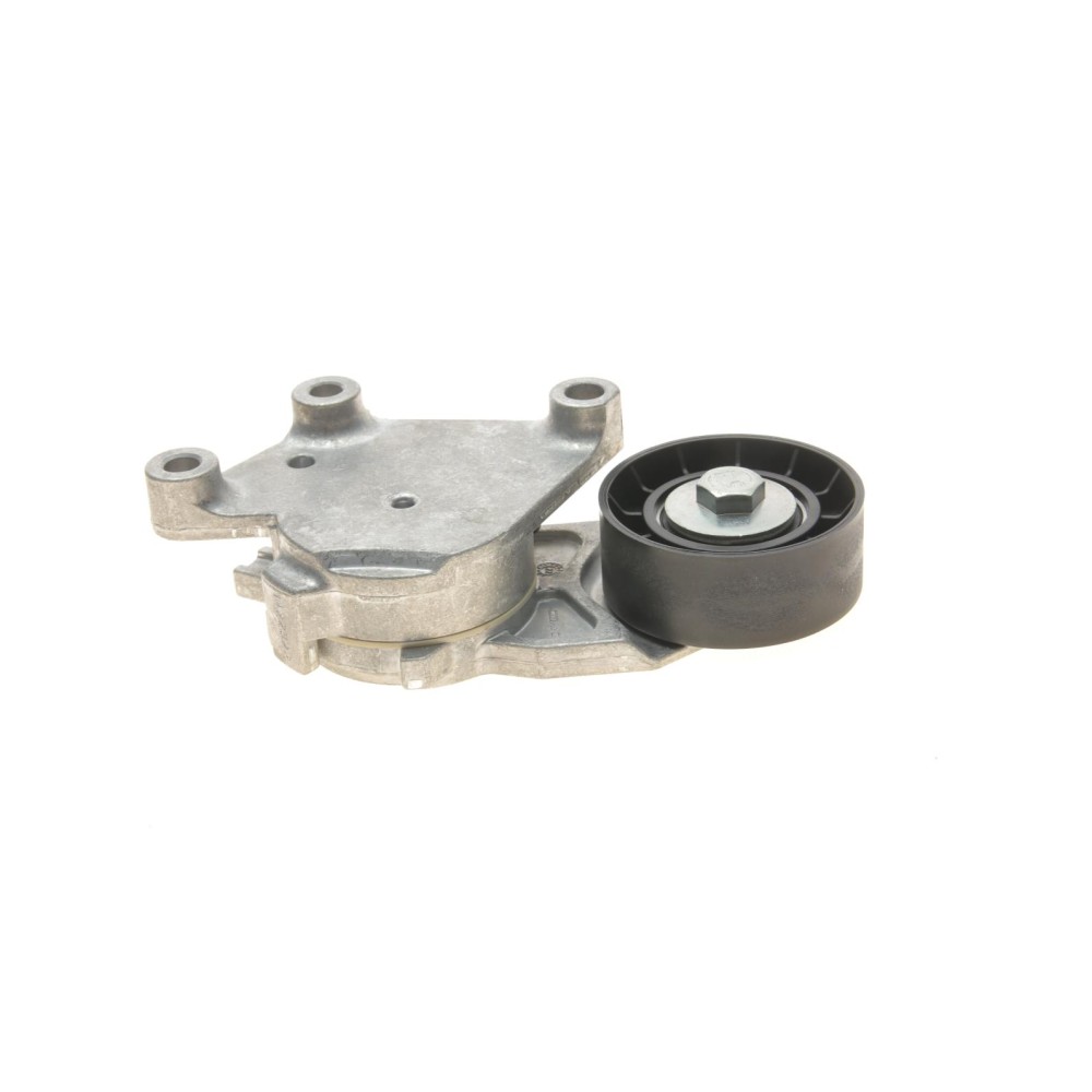 Натяжник ременя генератора Citroen/Peugeot/Ford 1.4HDi/1.6TDCi 01-